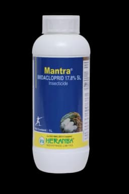 MANTRA view 12