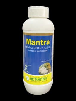 MANTRA view 13