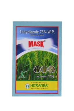 MASK view 10