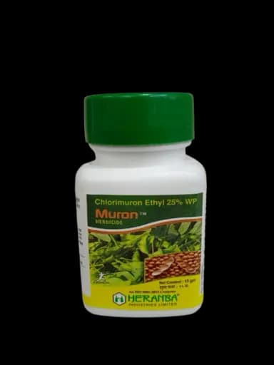 MURON