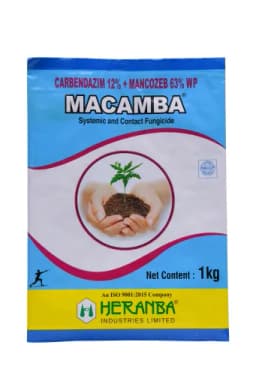 MACAMBA view 1