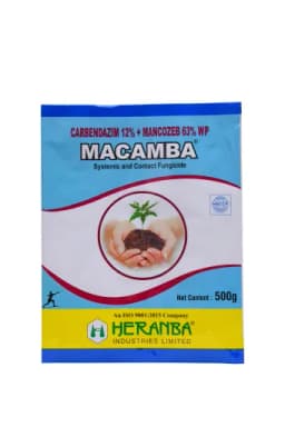 MACAMBA view 3