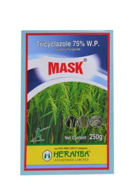 MASK view 1