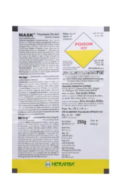 MASK view 2