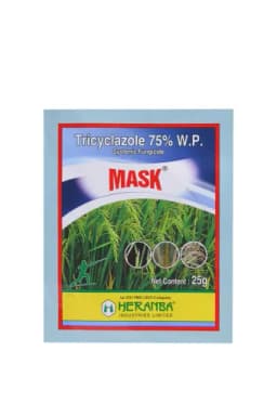 MASK view 6