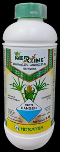 MERAZINE view 2