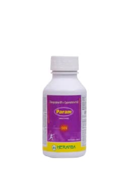 PARAM view 16