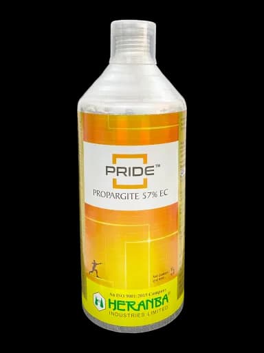 PRIDE