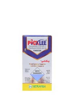 PICKLEE view 6