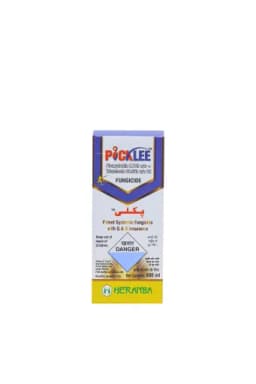 PICKLEE view 5