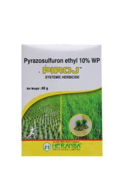 PIROJ view 1