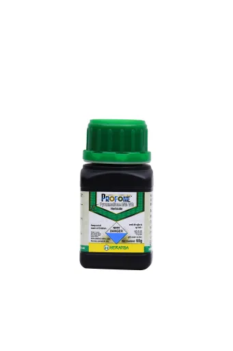 PROFONE