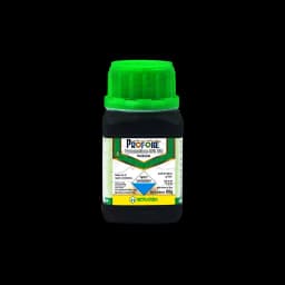 PROFONE view 5