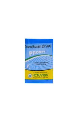 PROMPT view 22