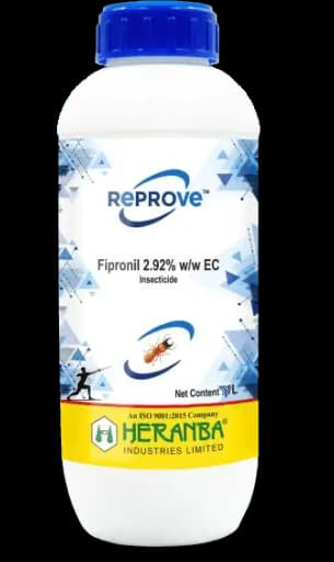 Reprove