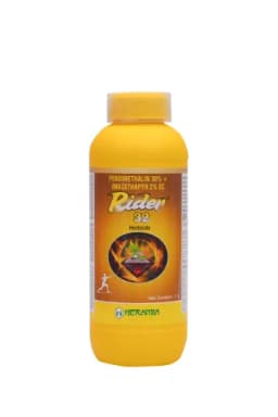 RIDER 32 view 1