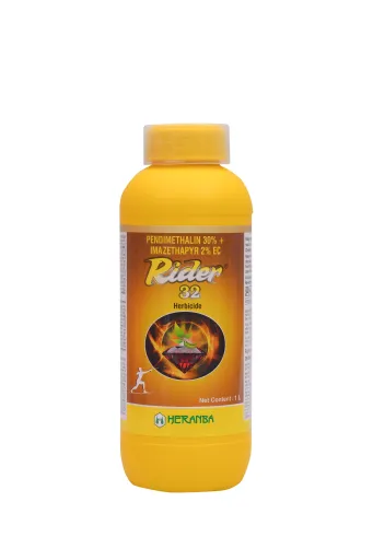 RIDER 32