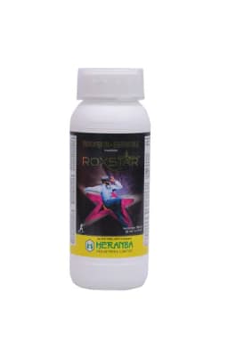 ROXSTAR view 3