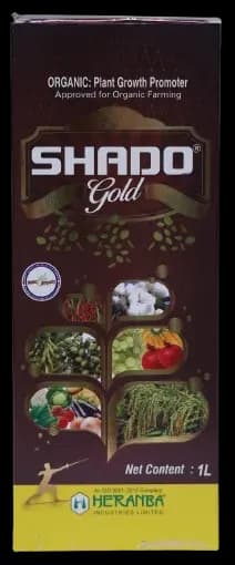 SHADO GOLD