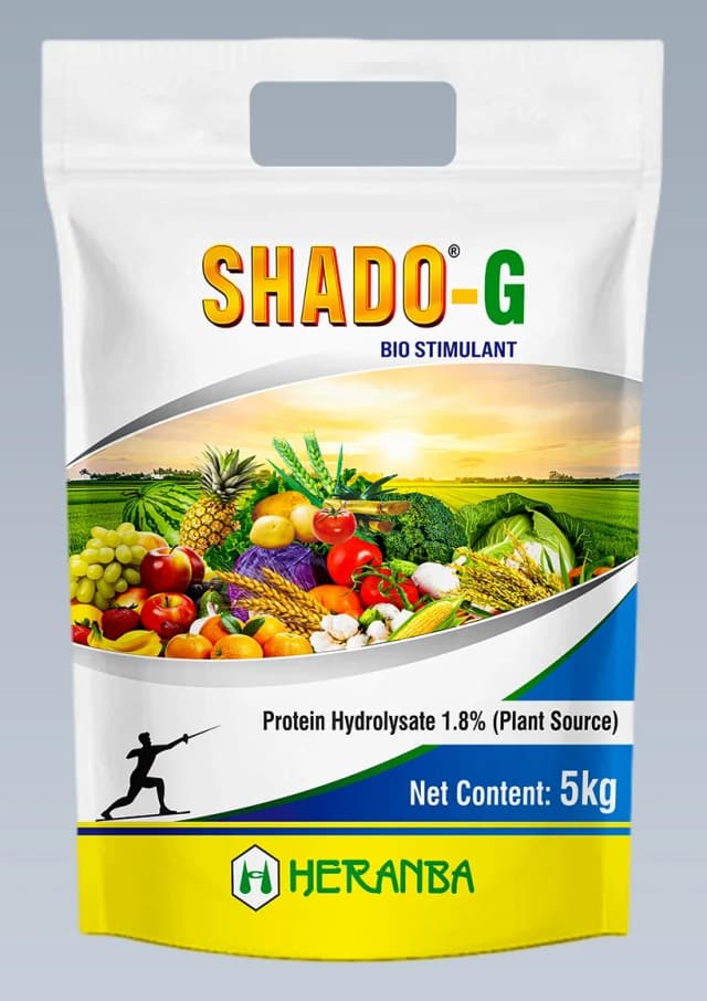 SHADO GR
