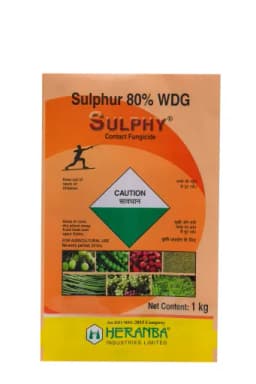 SULPHY view 9
