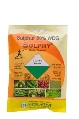 SULPHY view 11