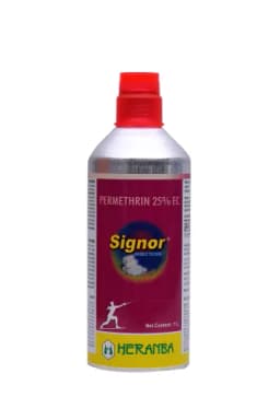 SIGNOR view 1