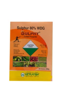 SULPHY view 6