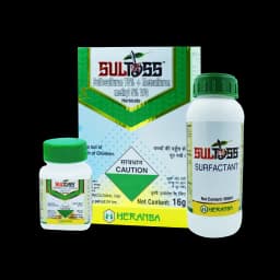 SULTOSS view 3