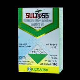 SULTOSS view 4