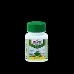 SULTOSS view 6