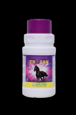 TROZAN view 7