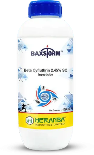 Baxstorm