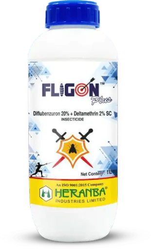 Fligon Plus