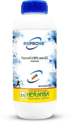 Reprove